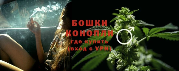 прущие грибы Липки