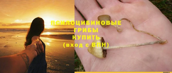 spice Лихославль