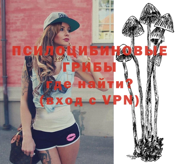 прущие грибы Липки