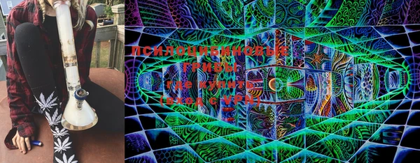 прущие грибы Липки