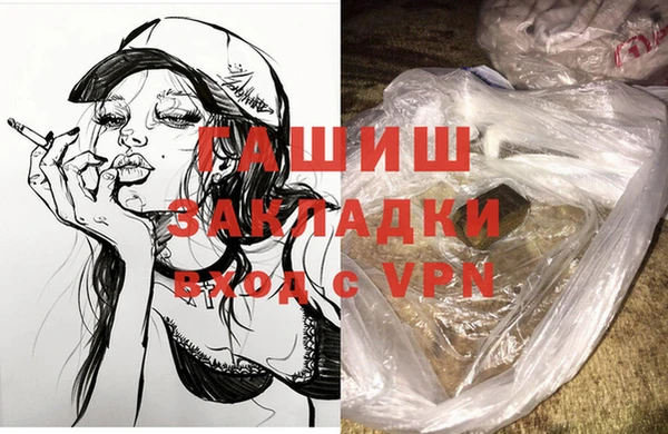 сатива Лабытнанги